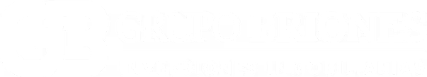 Grupo Briones Logo
